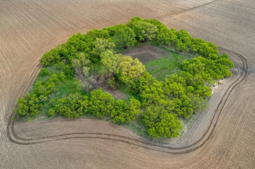 249.37 acres in Coleman County gallery image 2