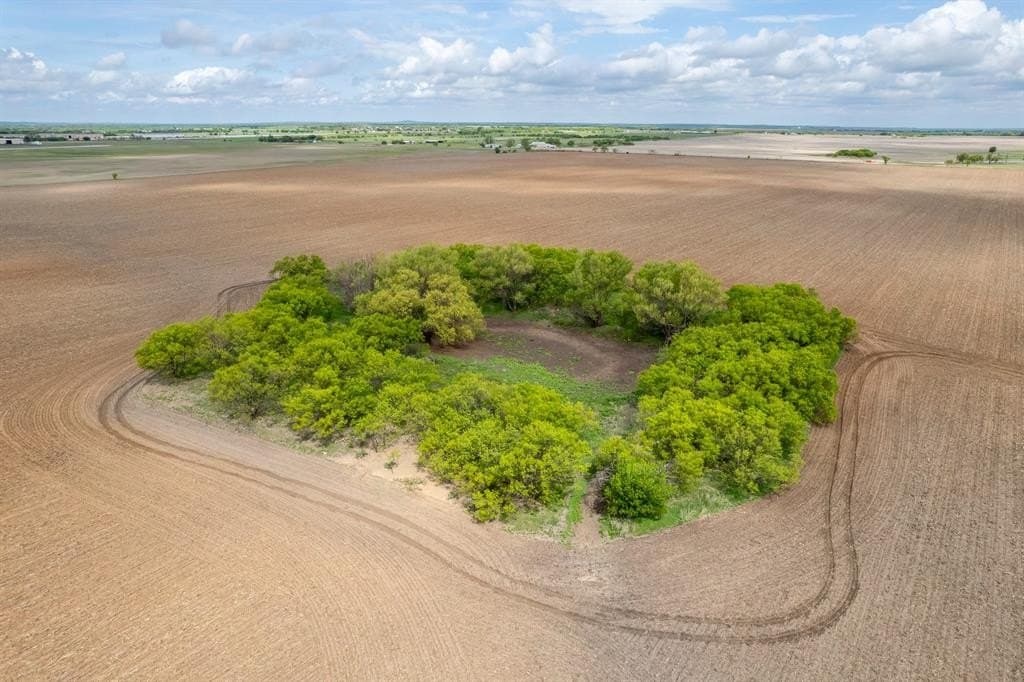 249.37 acres in Coleman County gallery image 3