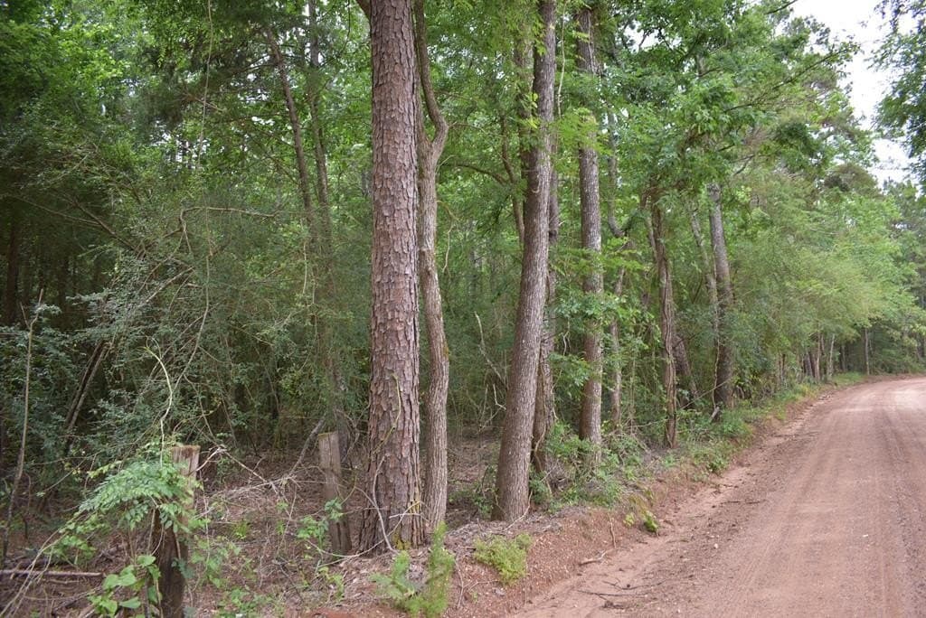 10.6 acres in Texas County - photo 8