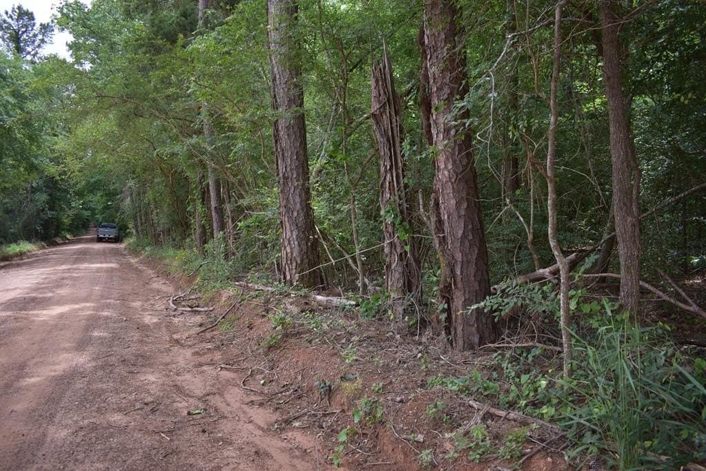 10.6 acres in Texas County - photo 6