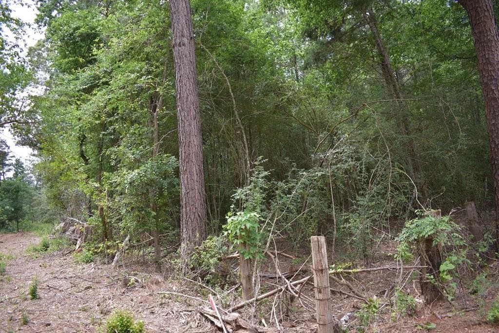 10.6 acres in Texas County - photo 9