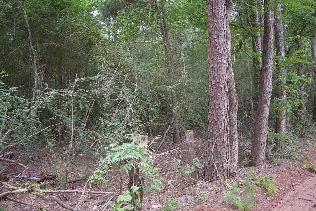 10.6 acres in Texas County - photo 7