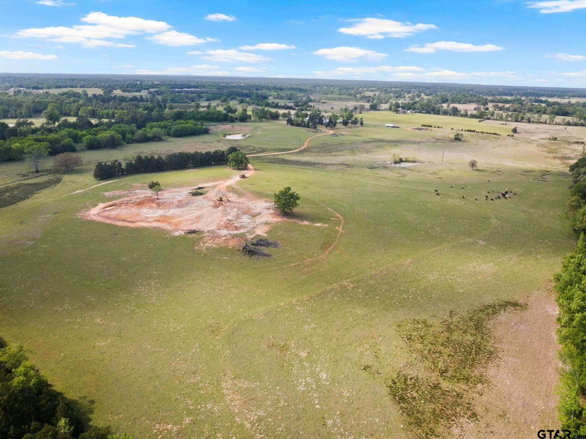 98.62 acres in Wood County gallery image 3