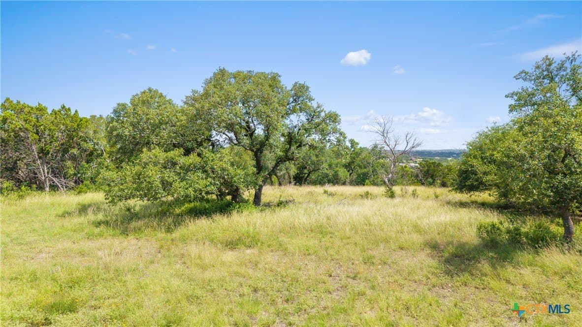 4.19 acres in Comal County gallery image 2