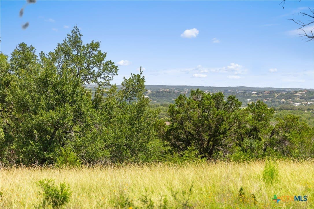 4.19 acres in Comal County gallery image 3