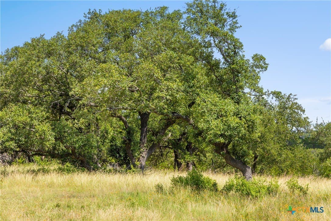4.19 acres in Comal County featured view