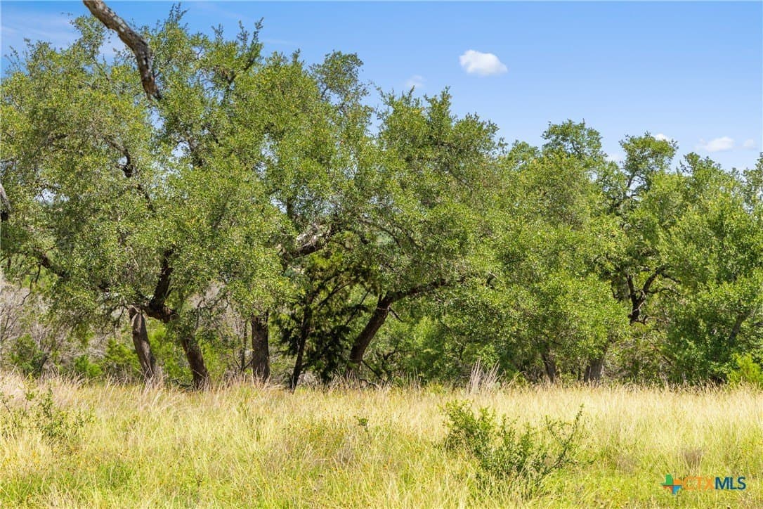 4.19 acres in Comal County gallery image 4