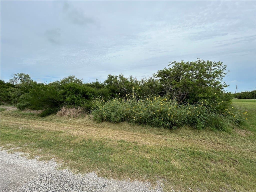 0.22 acres in Refugio County gallery image 2