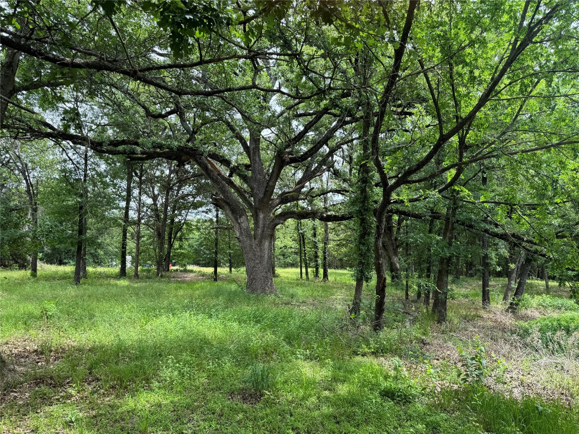 6.54 acres in Kaufman County gallery image 3
