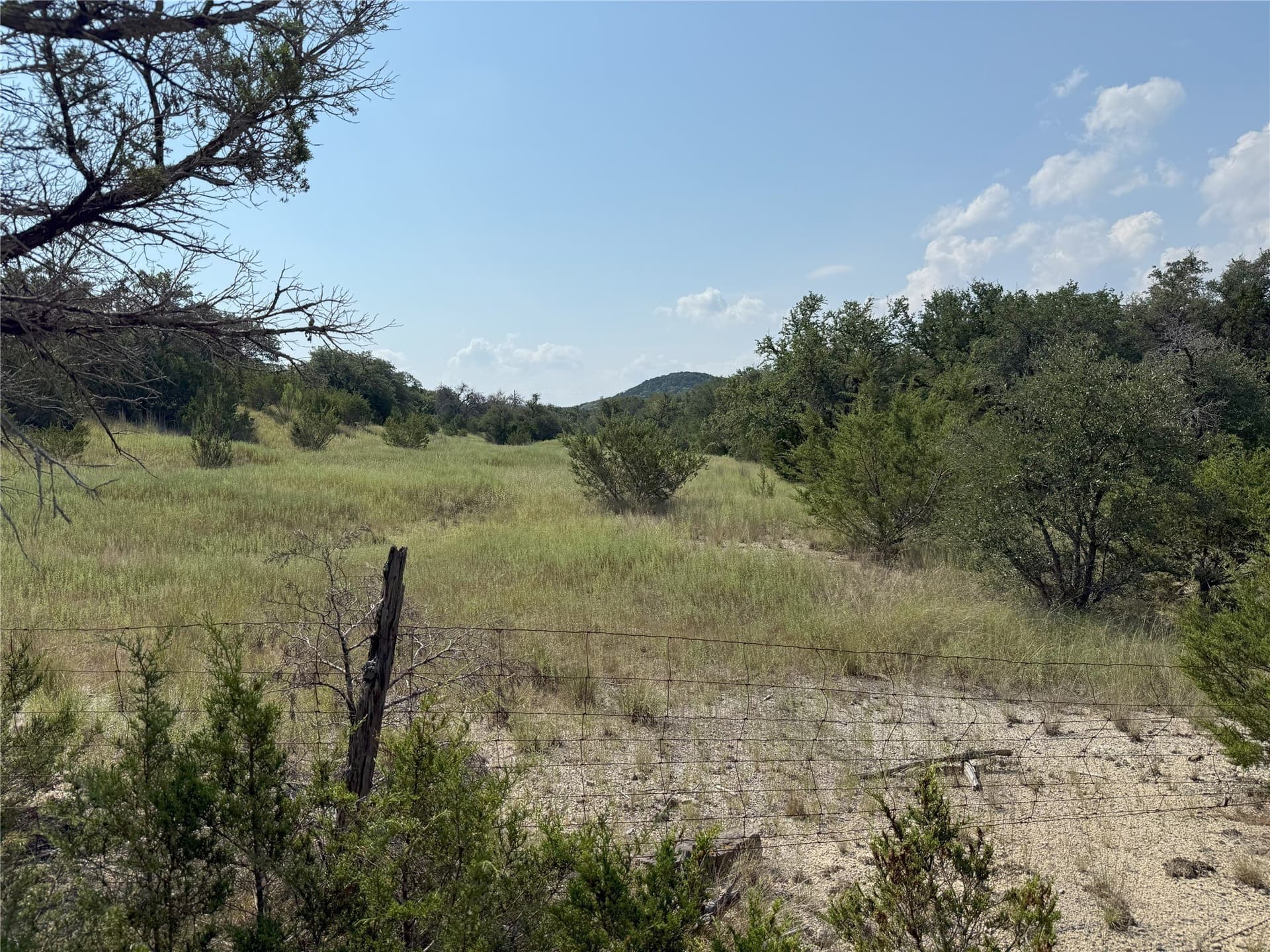 15.5 acres in Somervell County gallery image 3