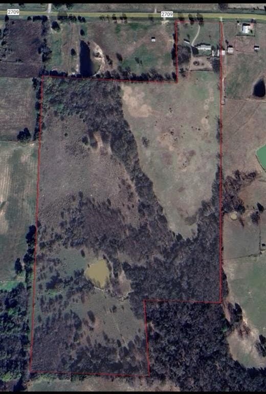 50.81 acres in Henderson County gallery image 2