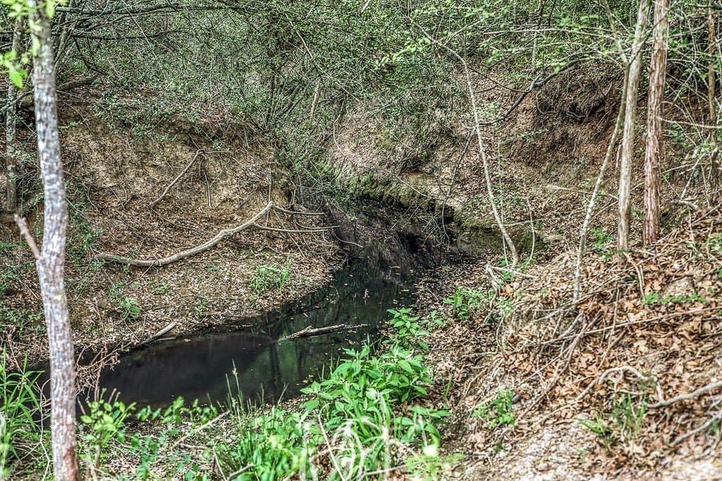 30 acres in Washington County - photo 29