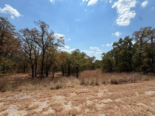 0.26 acres in Montague County - photo 2