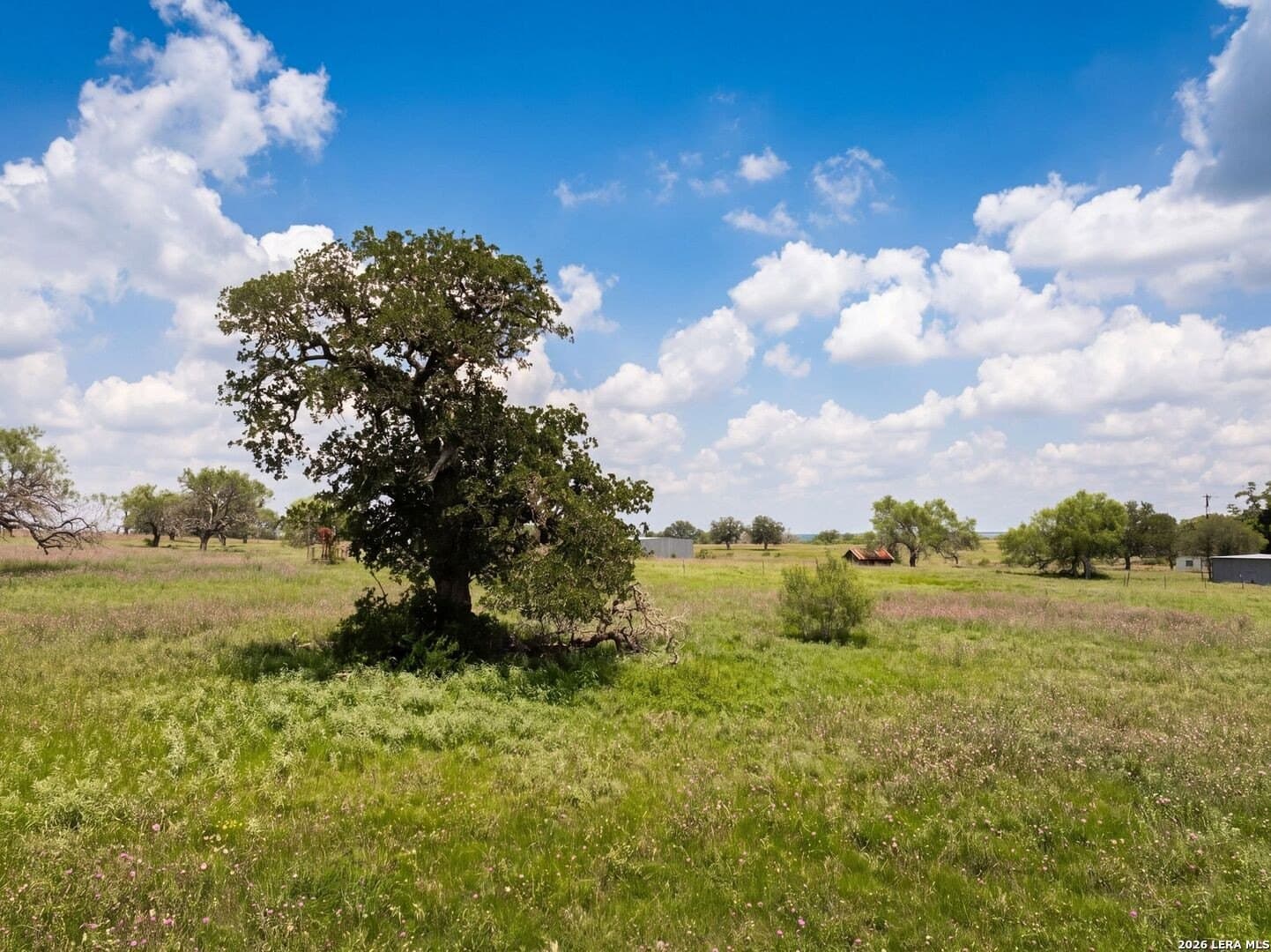 28 acres in Guadalupe County gallery image 4