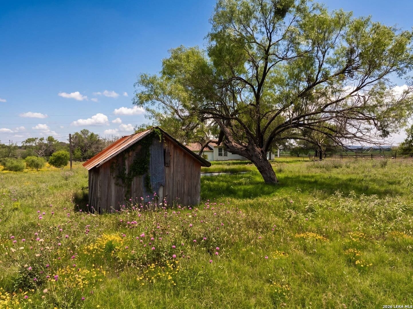 28 acres in Guadalupe County - photo 10