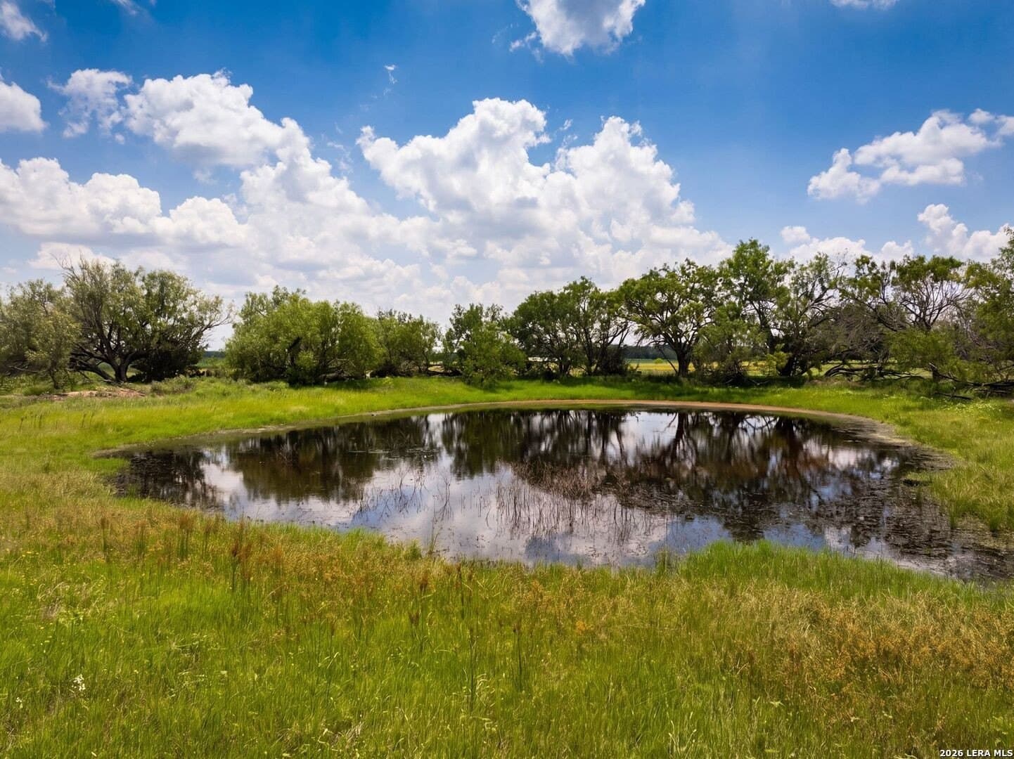 28 acres in Guadalupe County - photo 7