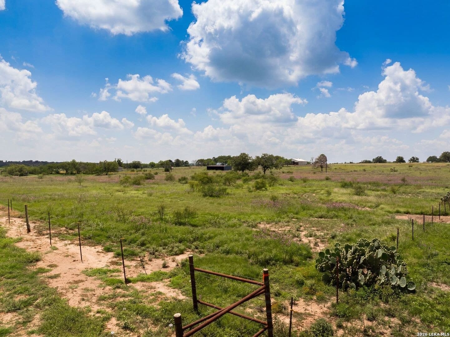 28 acres in Guadalupe County - photo 8