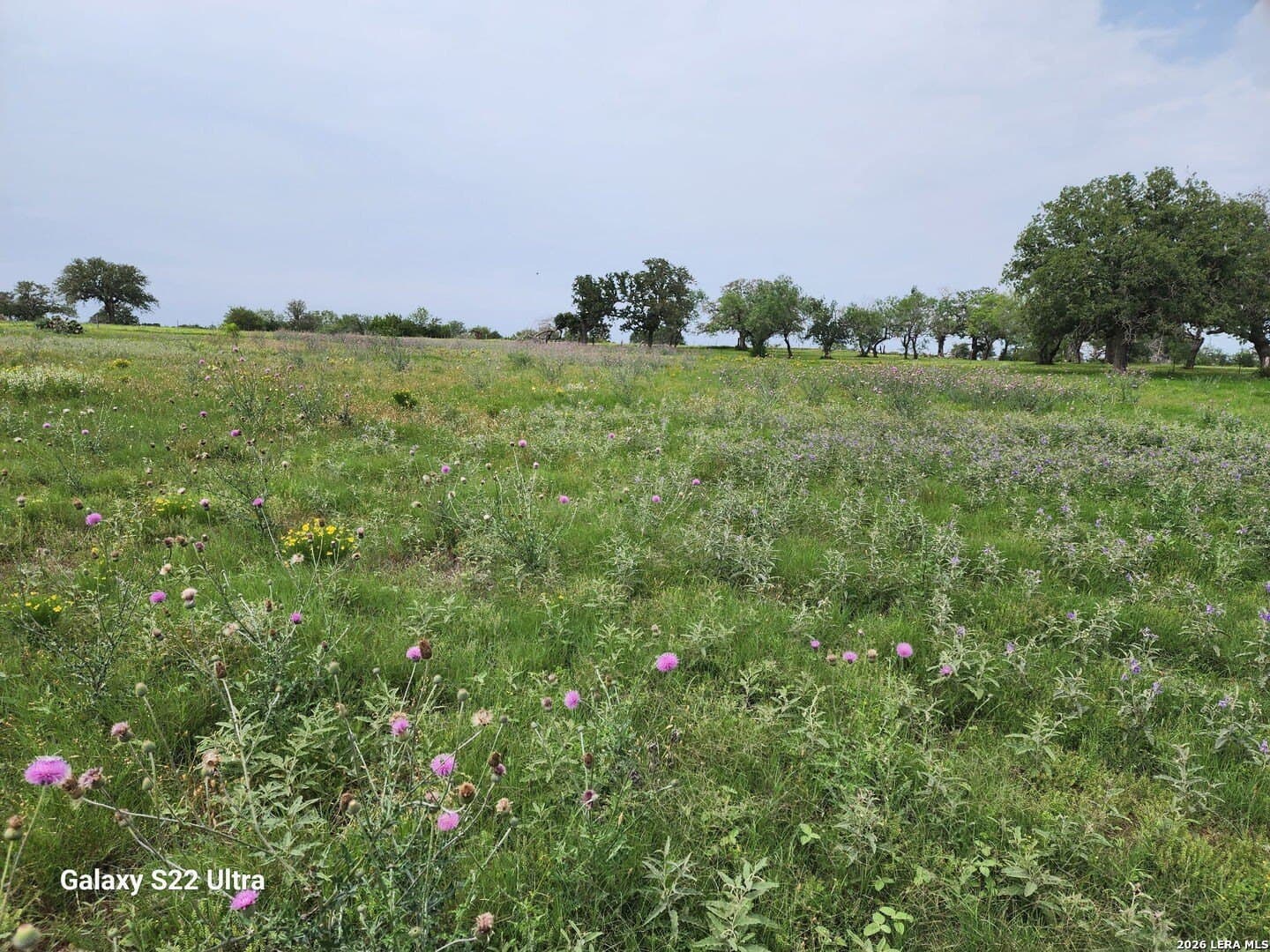 28 acres in Guadalupe County - photo 25