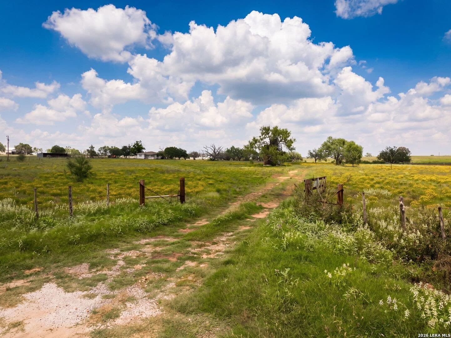 28 acres in Guadalupe County - photo 11