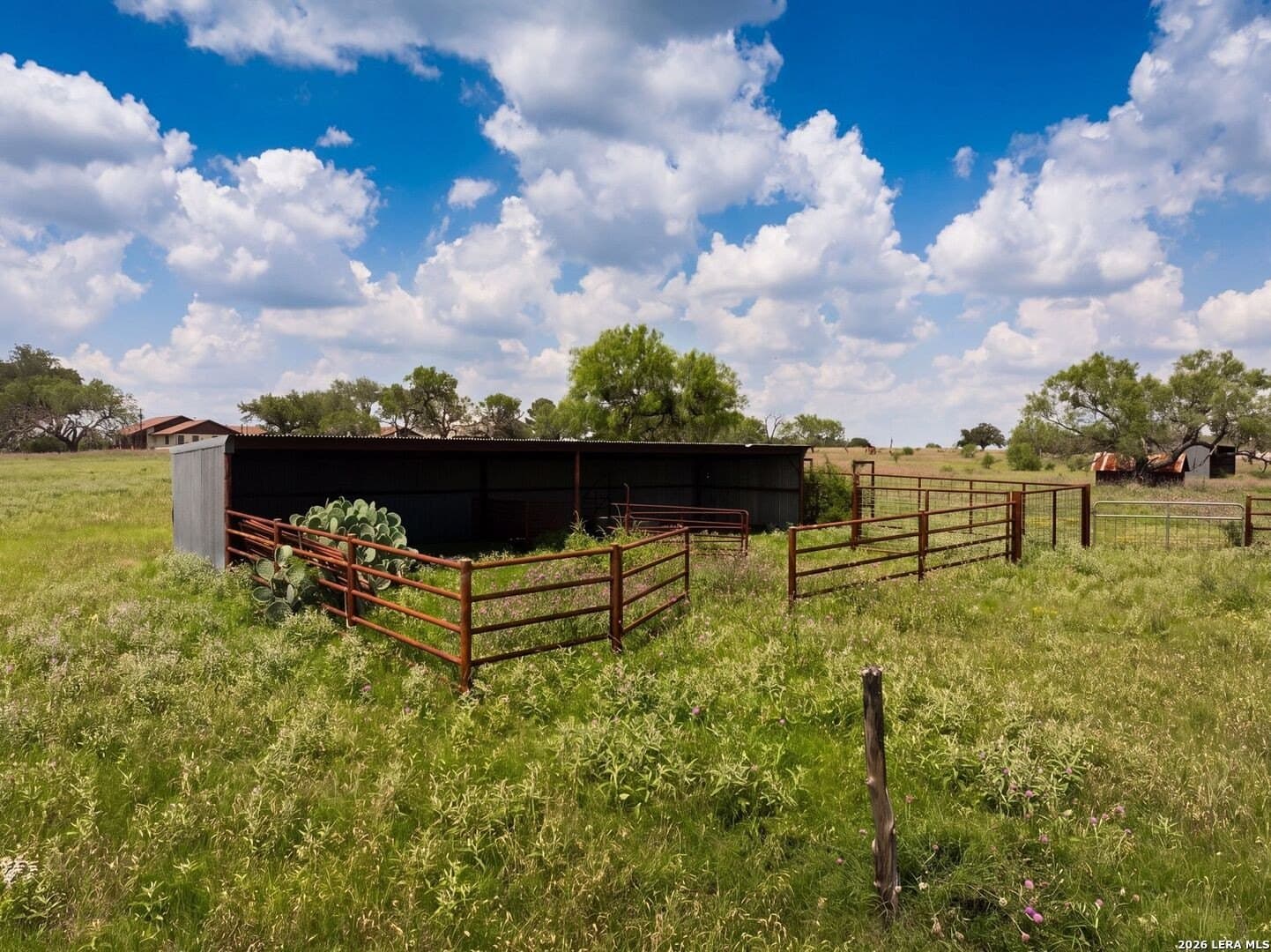28 acres in Guadalupe County featured view