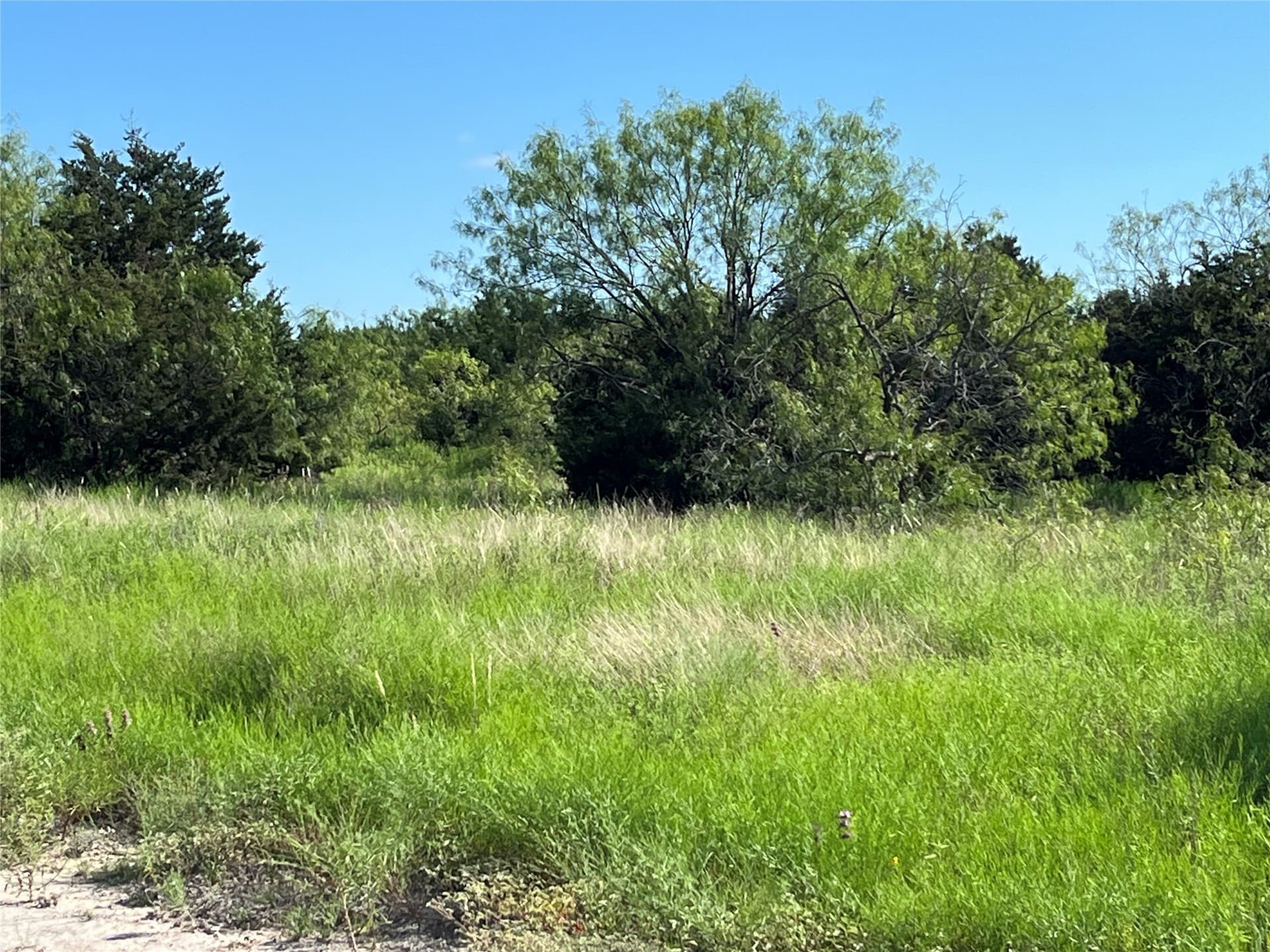 122.81 acres in Lampasas County - photo 2