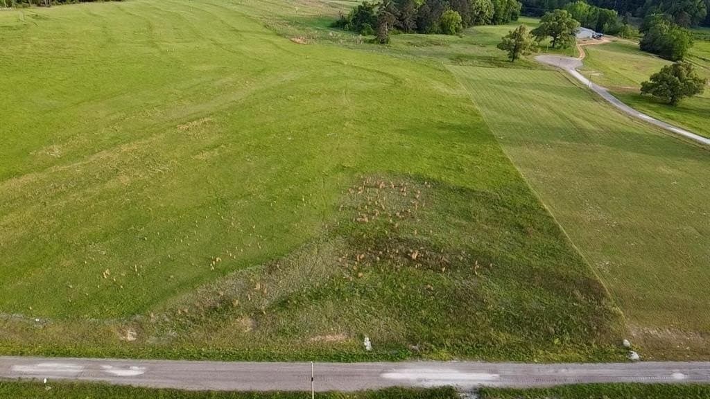 4.01 acres in Upshur County gallery image 2