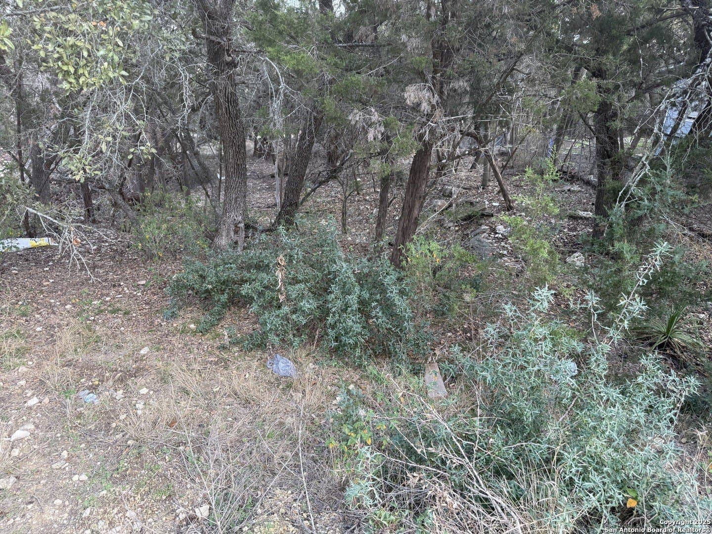 0.22 acres in Comal County - photo 7