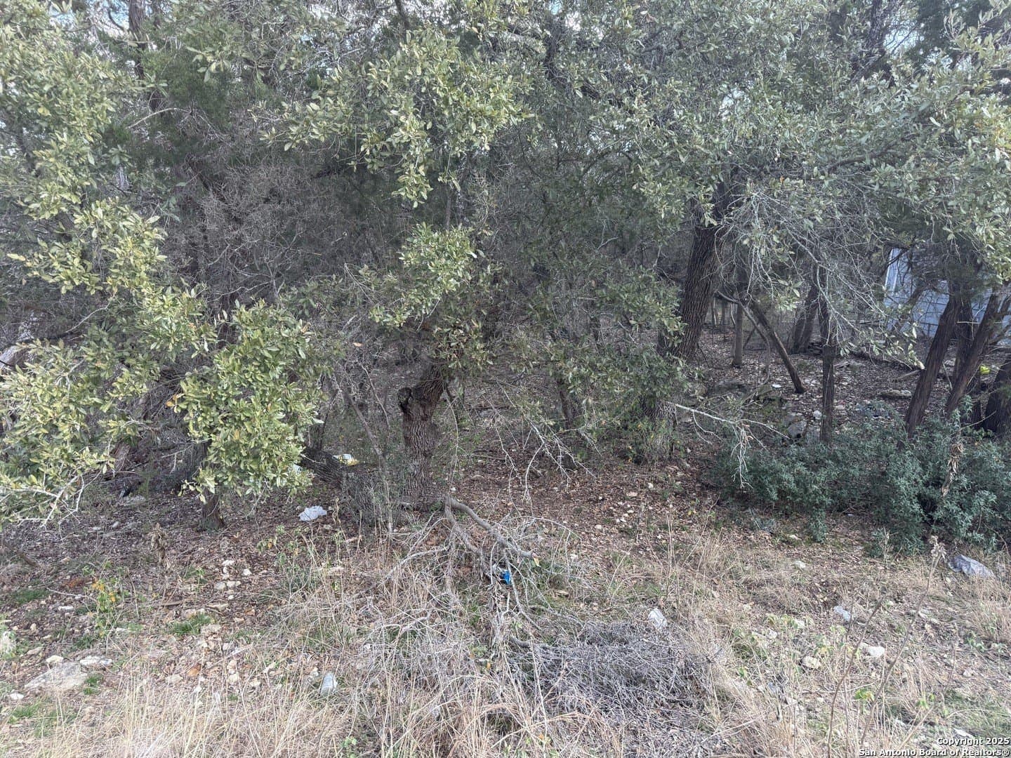 0.22 acres in Comal County gallery image 4