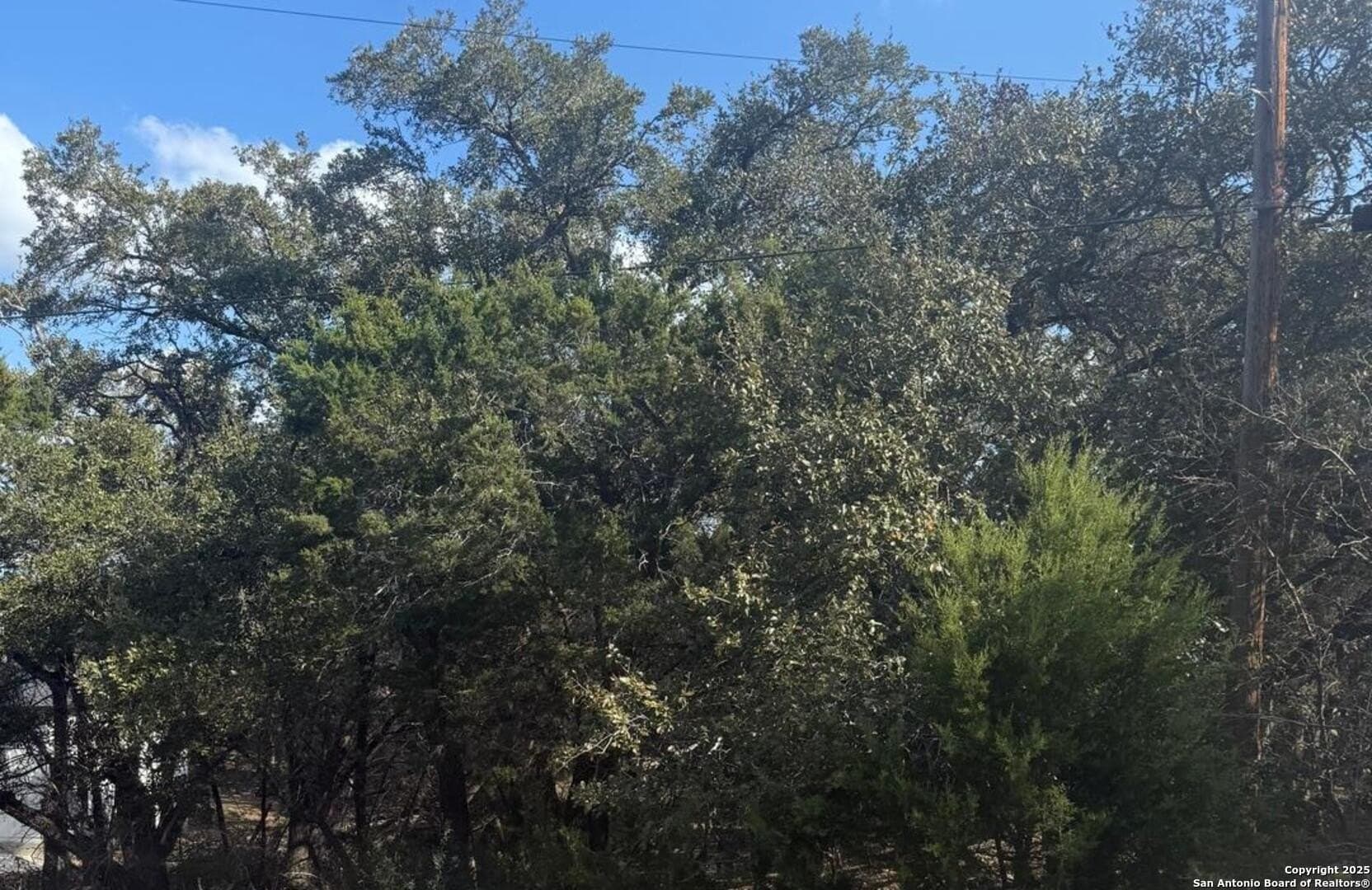0.22 acres in Comal County - photo 15