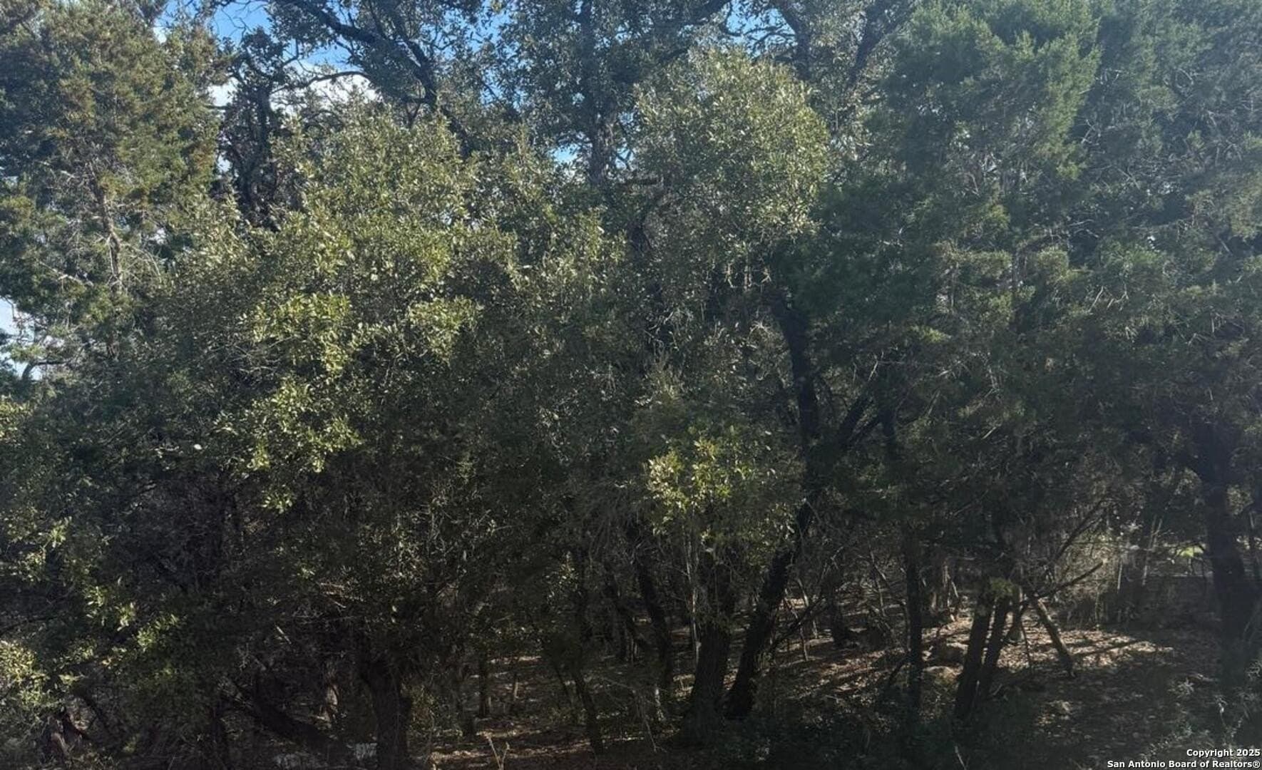 0.22 acres in Comal County - photo 13