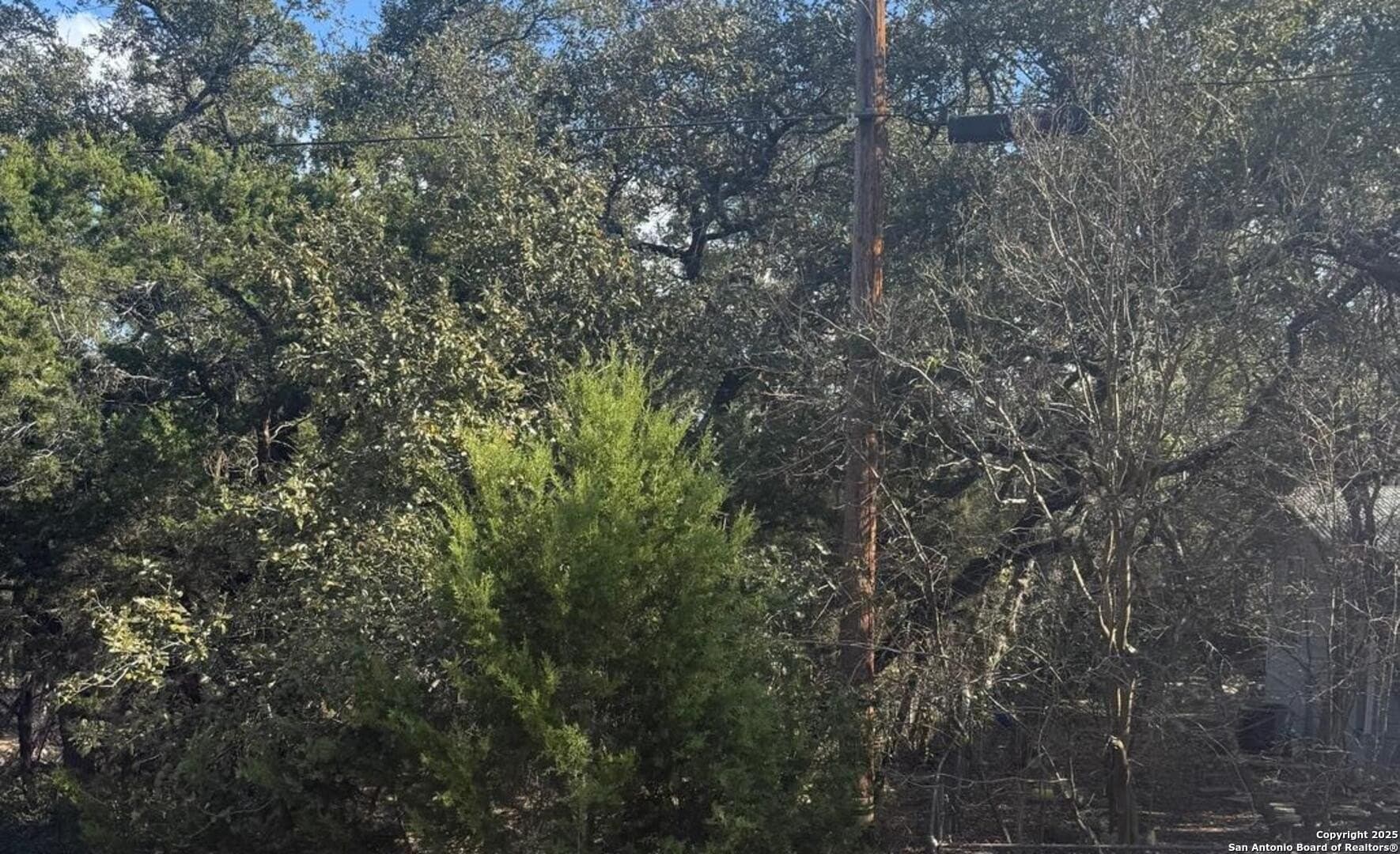 0.22 acres in Comal County - photo 11
