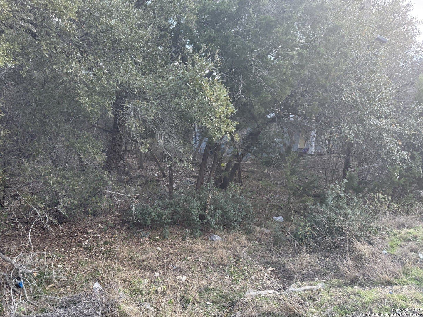 0.22 acres in Comal County - photo 8