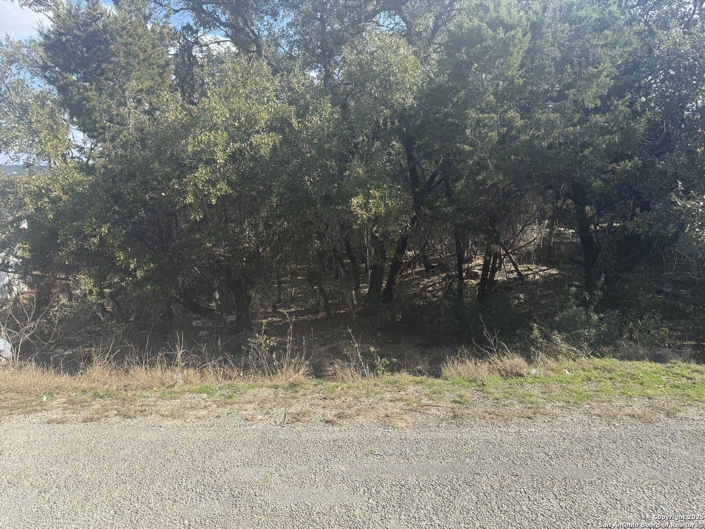 0.22 acres in Comal County - photo 14