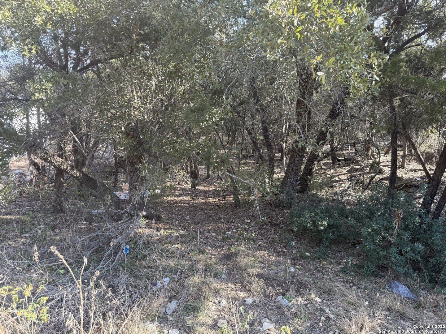 0.22 acres in Comal County - photo 12