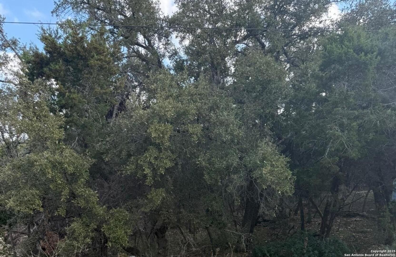 0.22 acres in Comal County - photo 19