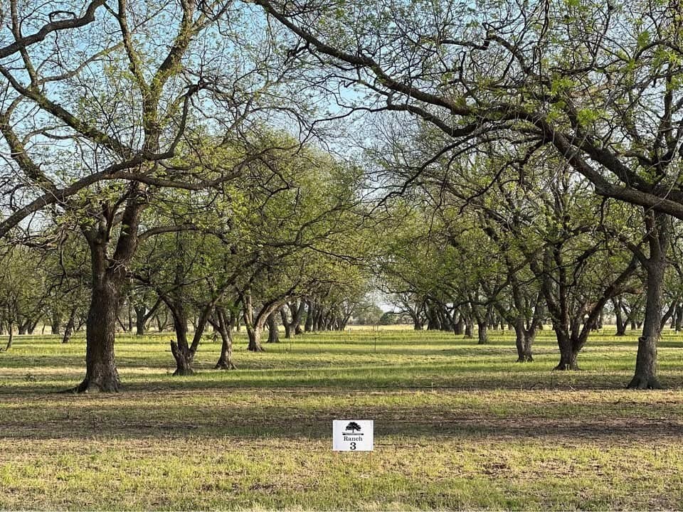 10.09 acres in Comanche County