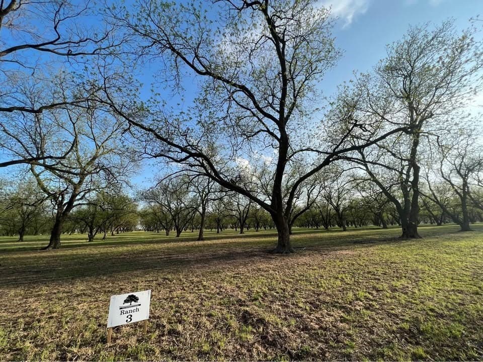 10.09 acres in Comanche County gallery image 4