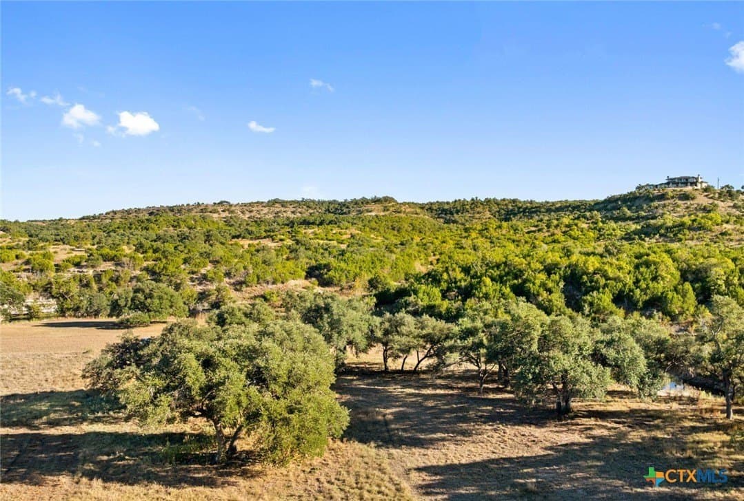 855 acres in Hays County - photo 17