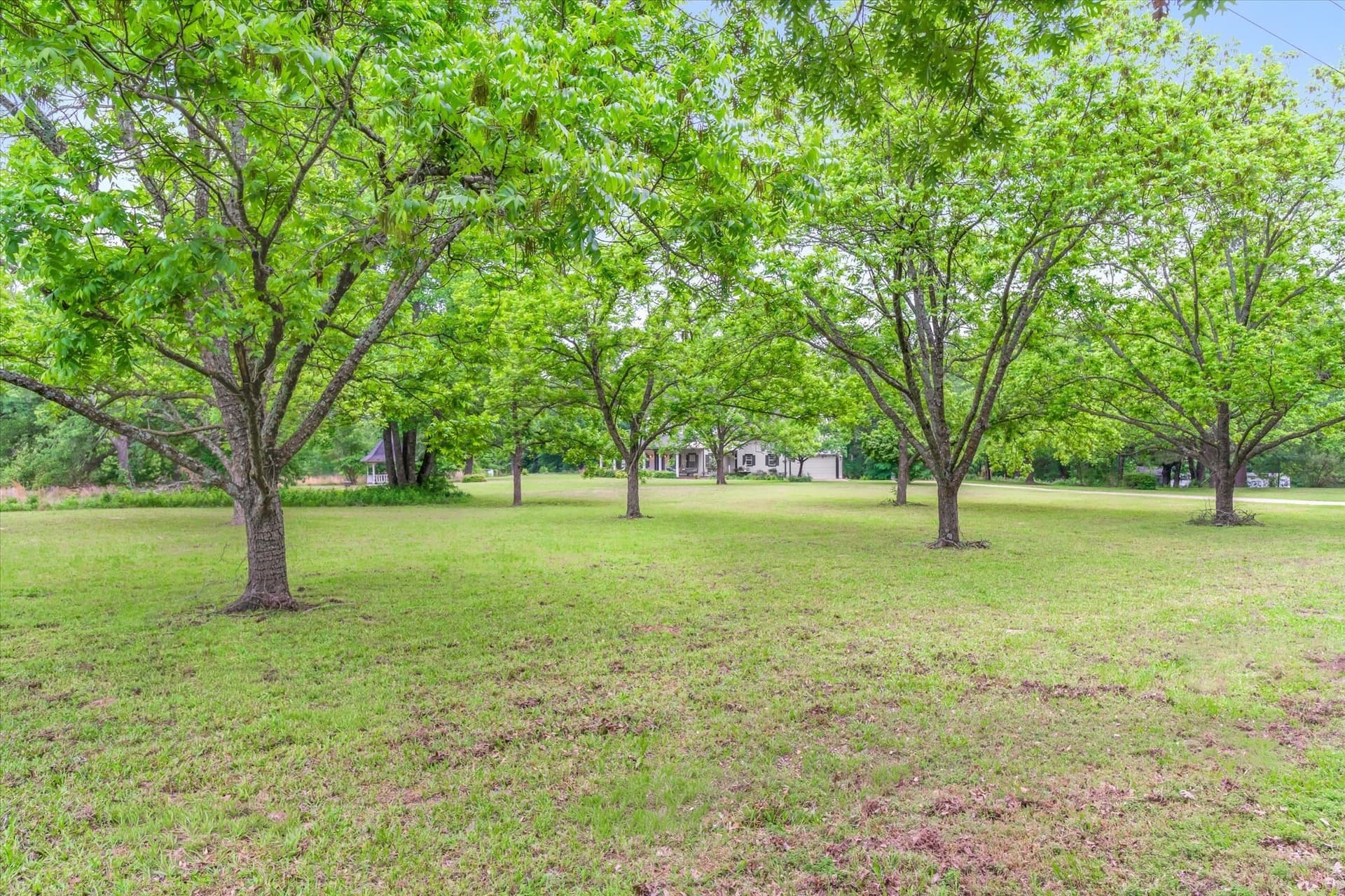 13.43 acres in Van Zandt County - photo 14