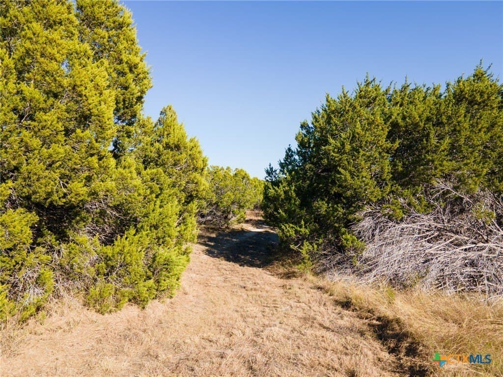 16.38 acres in Lampasas County - photo 12