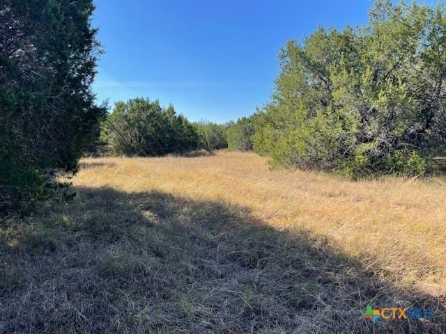 16.38 acres in Lampasas County gallery image 2