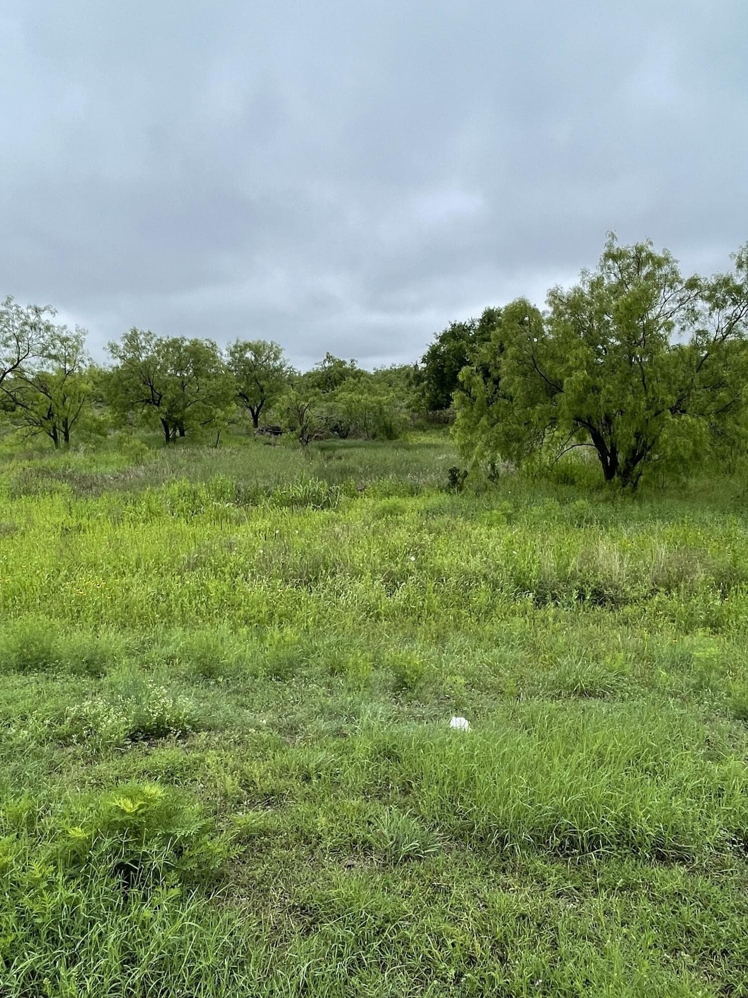 0.17 acres in Tom Green County gallery image 3