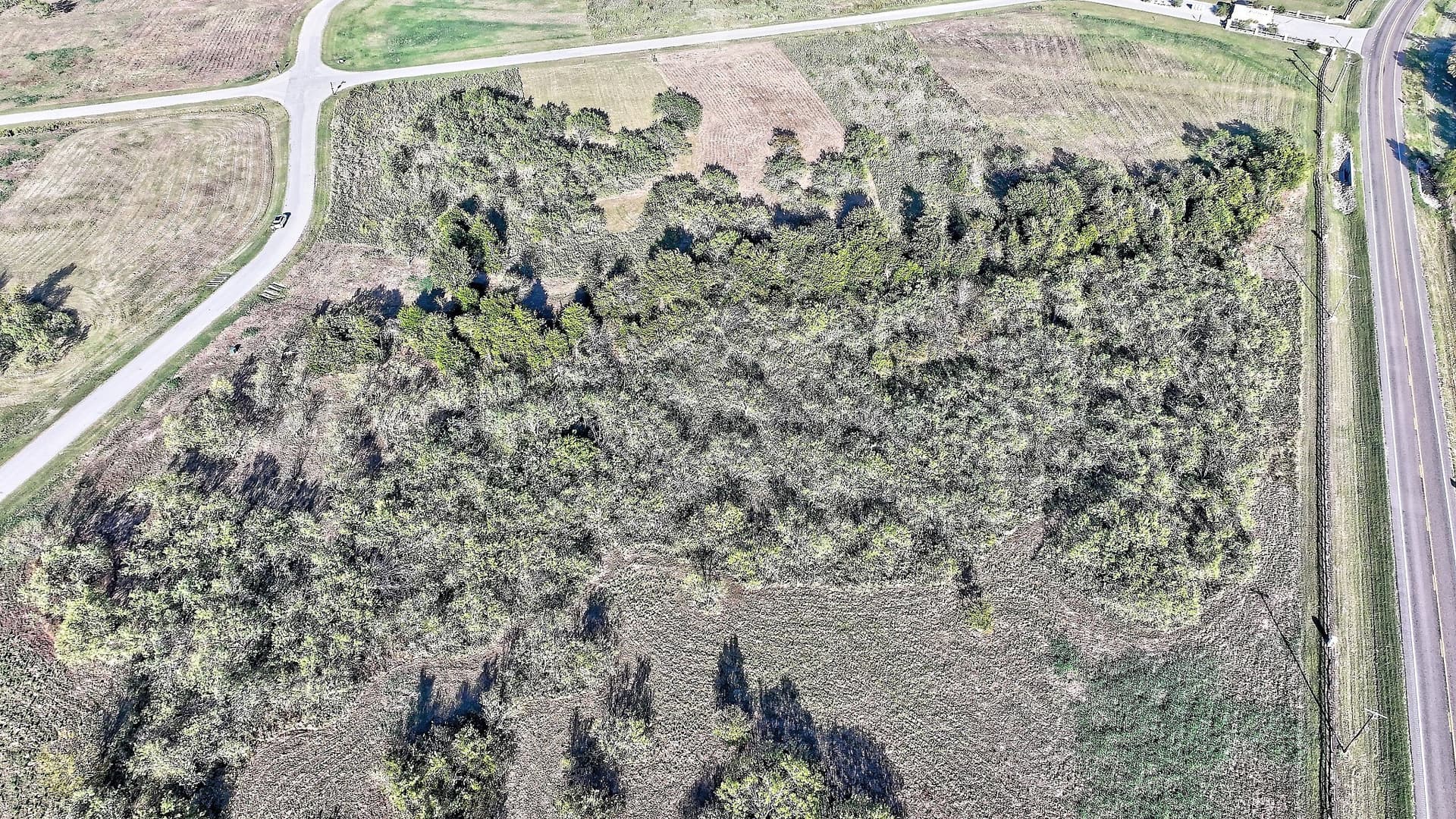2.46 acres in Navarro County - photo 5