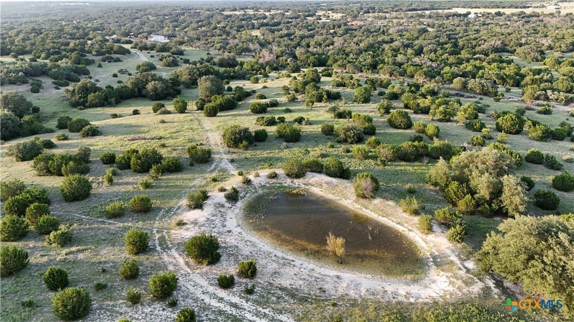 91.26 acres in Bell County - photo 7