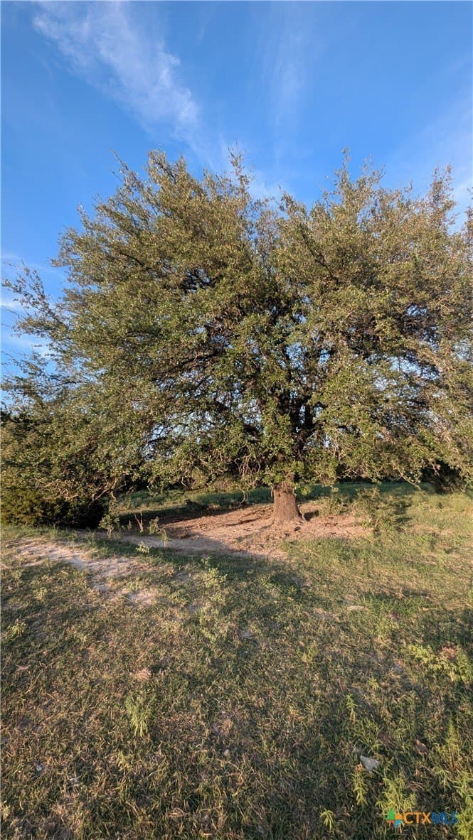 91.26 acres in Bell County - photo 11
