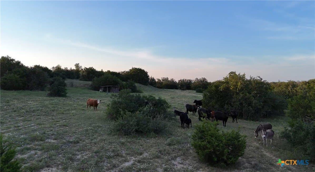 91.26 acres in Bell County - photo 12