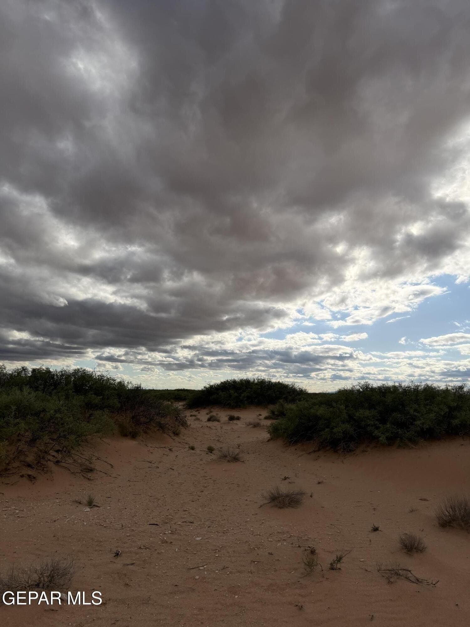21.44 acres in Hudspeth County featured view