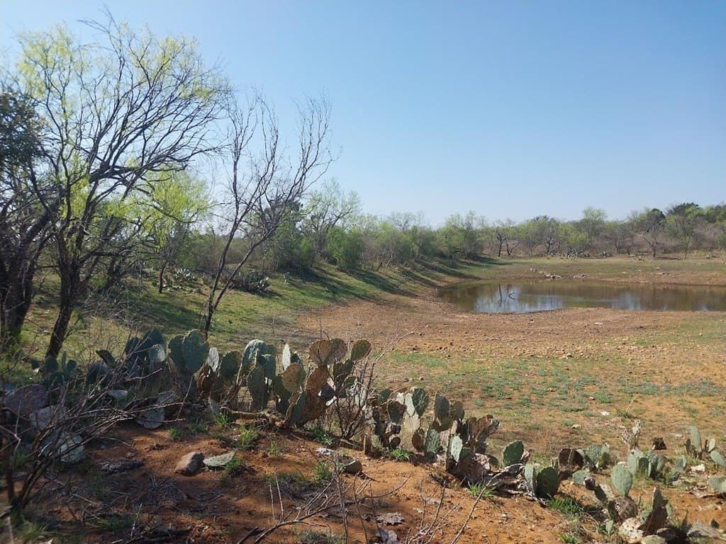 35 acres in Llano County gallery image 4