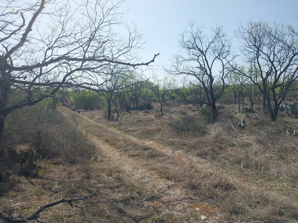 35 acres in Llano County gallery image 2