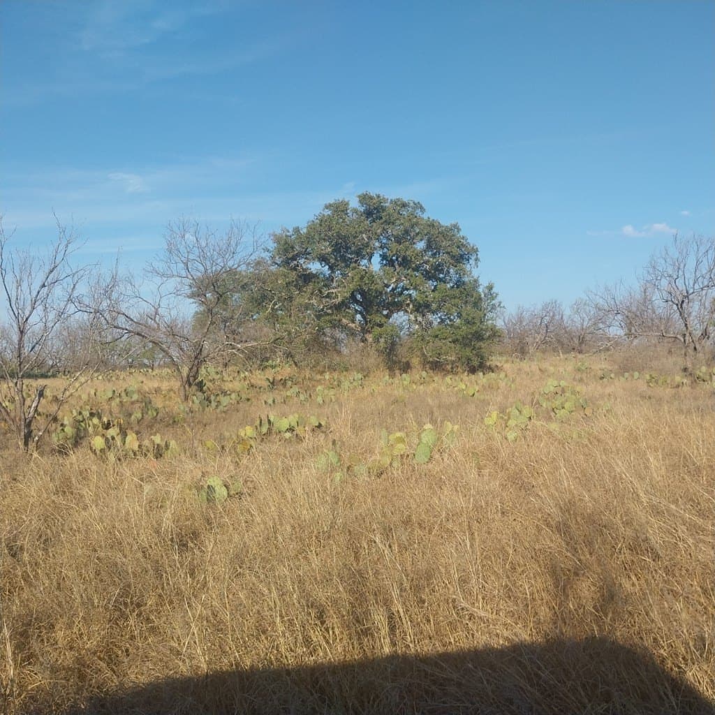 35 acres in Llano County featured view